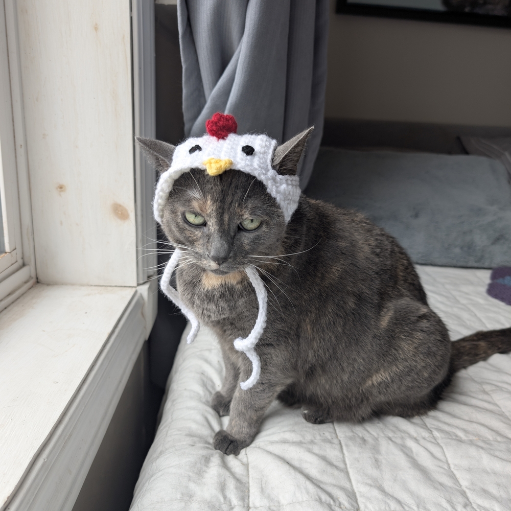 Chicken Hat for Cats - White and Red